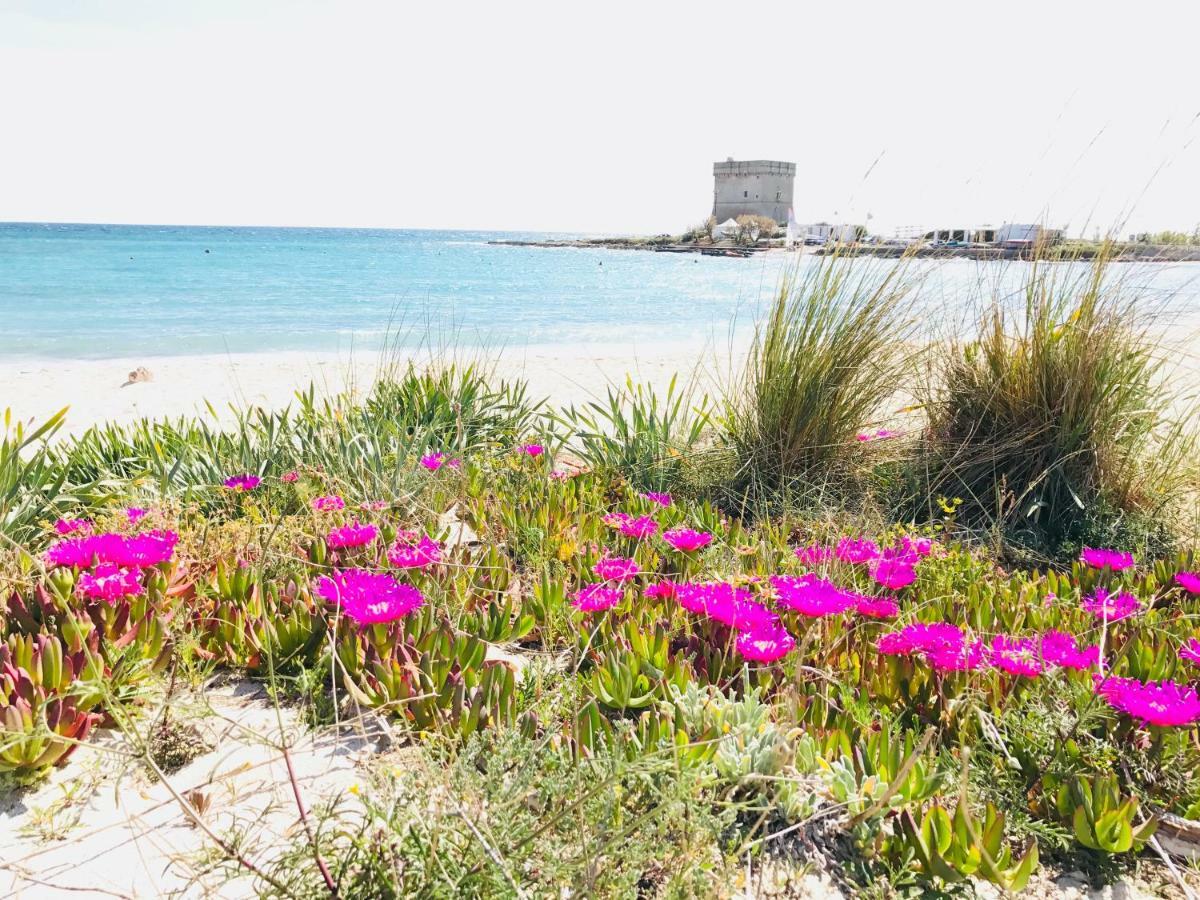Casa Vacanze Dei Bacini بورتو سيساريو المظهر الخارجي الصورة